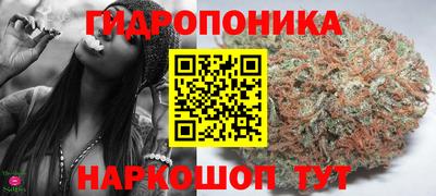 a pvp Аргун