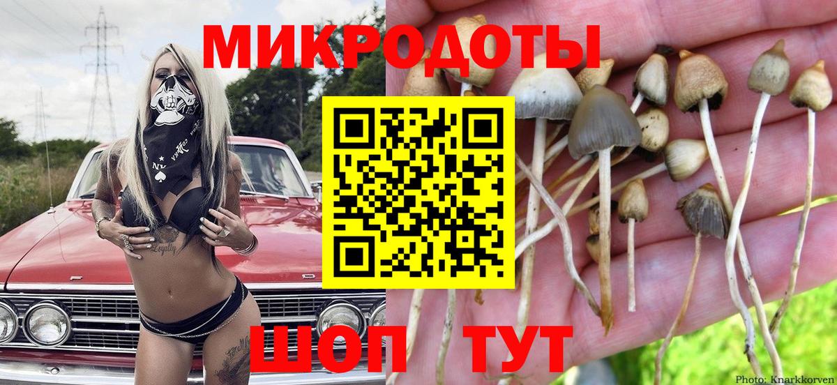 Брянск  Псилоцибиновые грибы MAGIC MUSHROOMS  Вход с VPN 